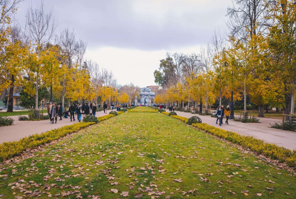 alt=»ayuda a domicilio» retiro